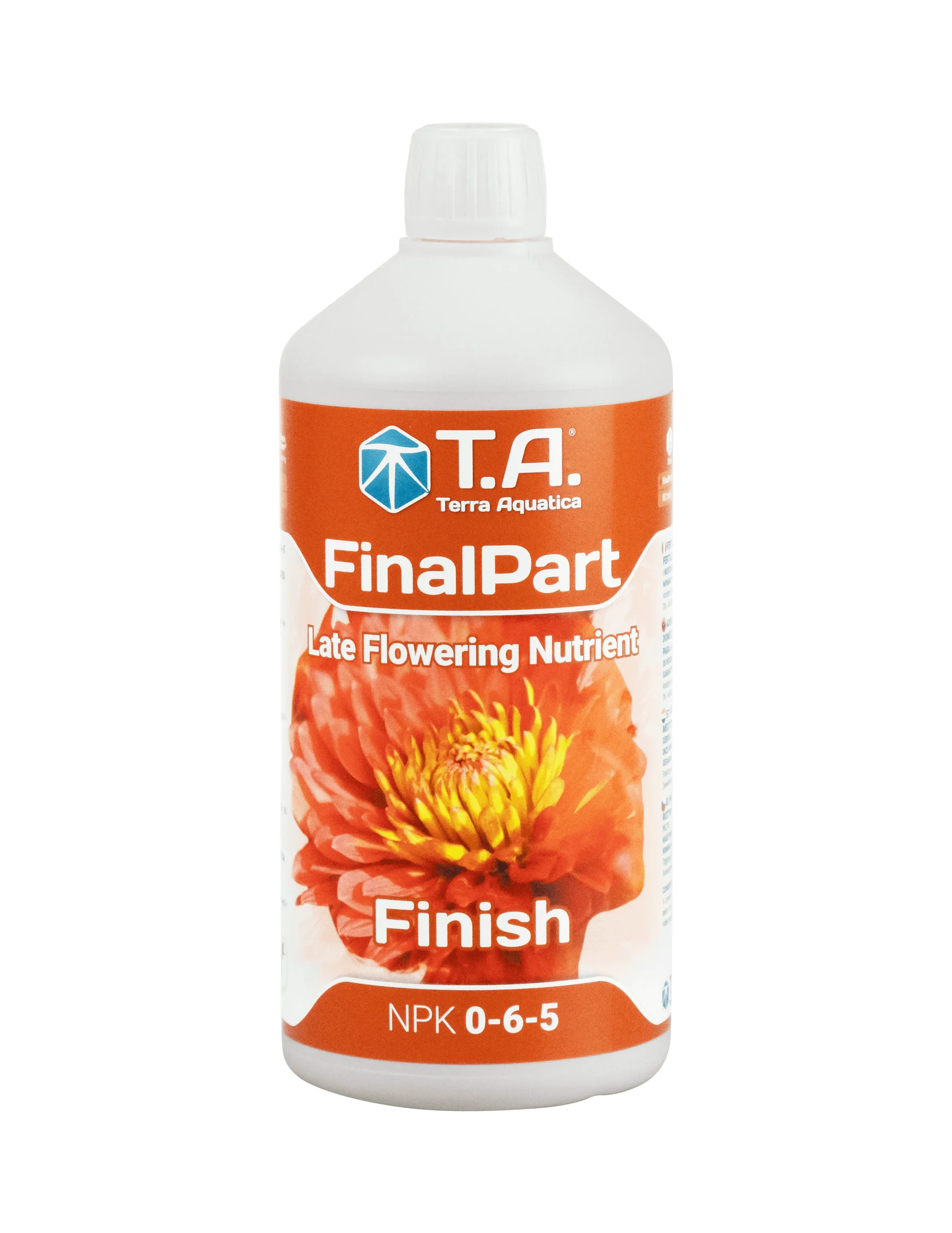 T.A. FinalPart 1L