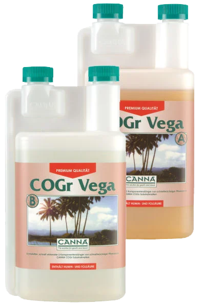 CANNA COGr 1L