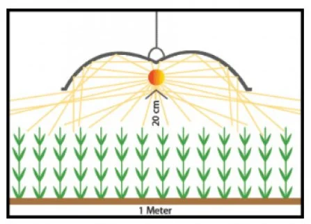 Adjust-A-Wings Avenger Medium Detail
