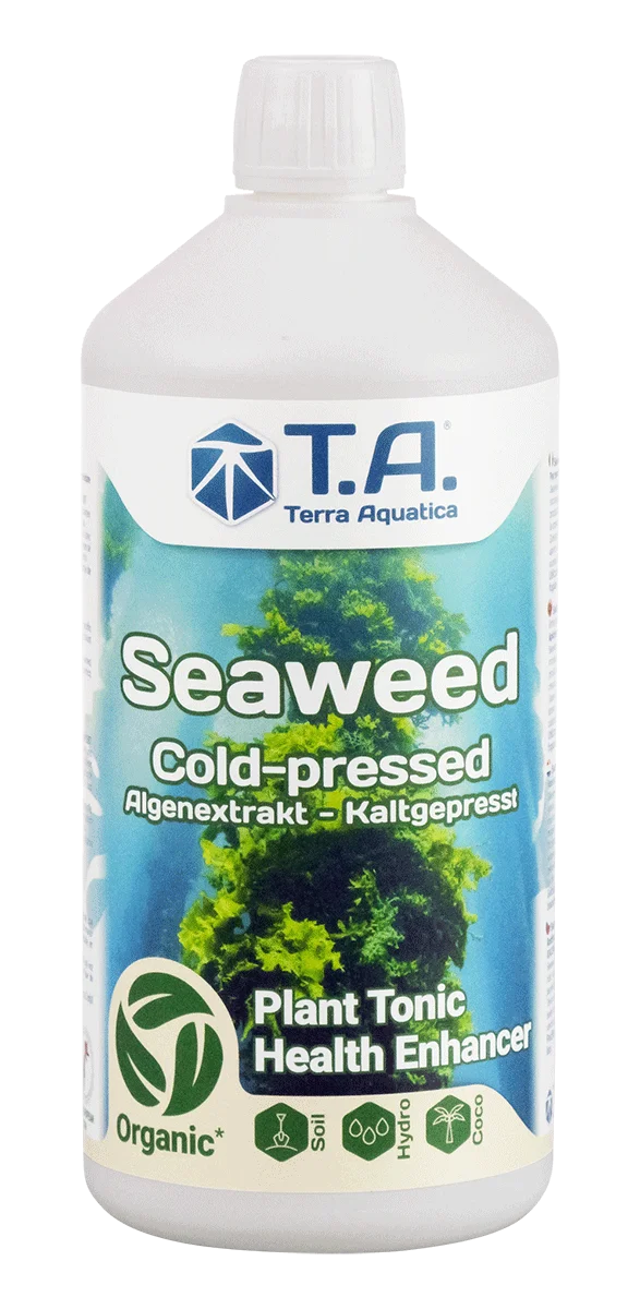 T.A. Seaweed