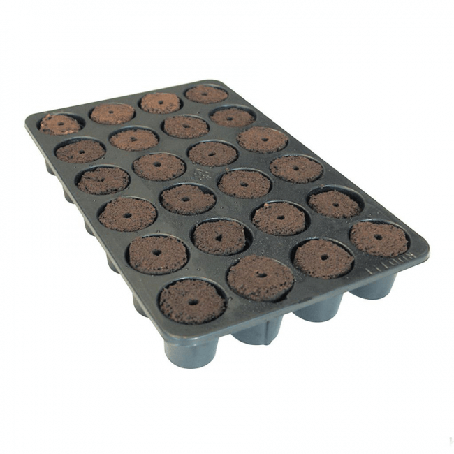 ROOT!T Natural Rooting Sponge 24 mit Tray