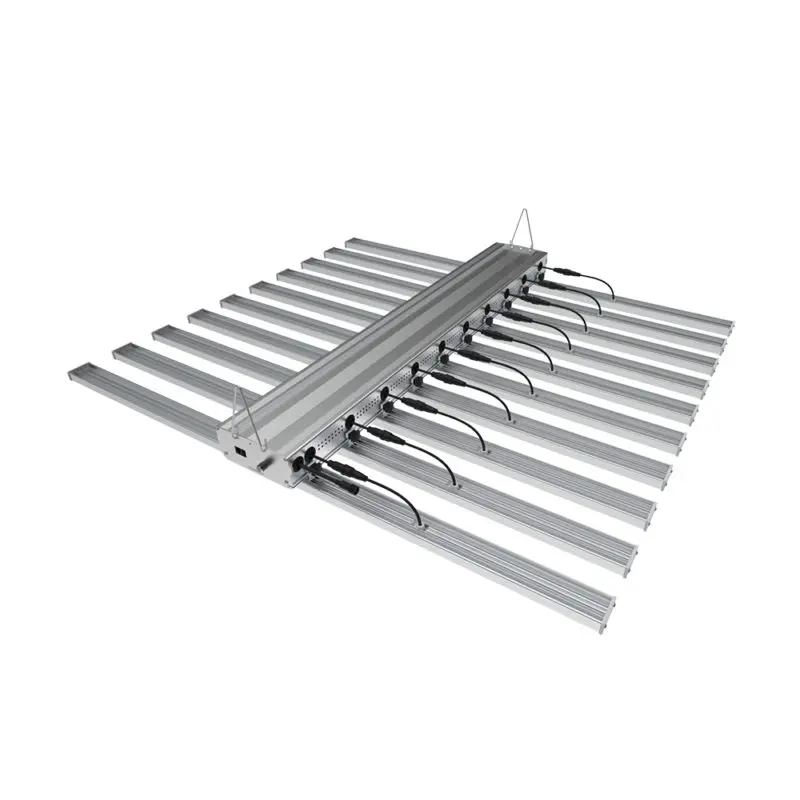 HallyProClassic 10 800W Details 3