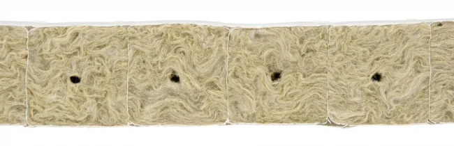 Grodan Miniblock 4x4cm 1Stk