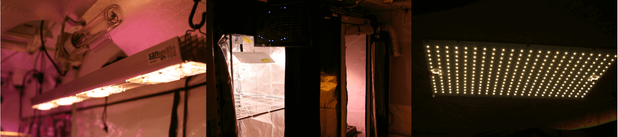 GreenParadise Showroom