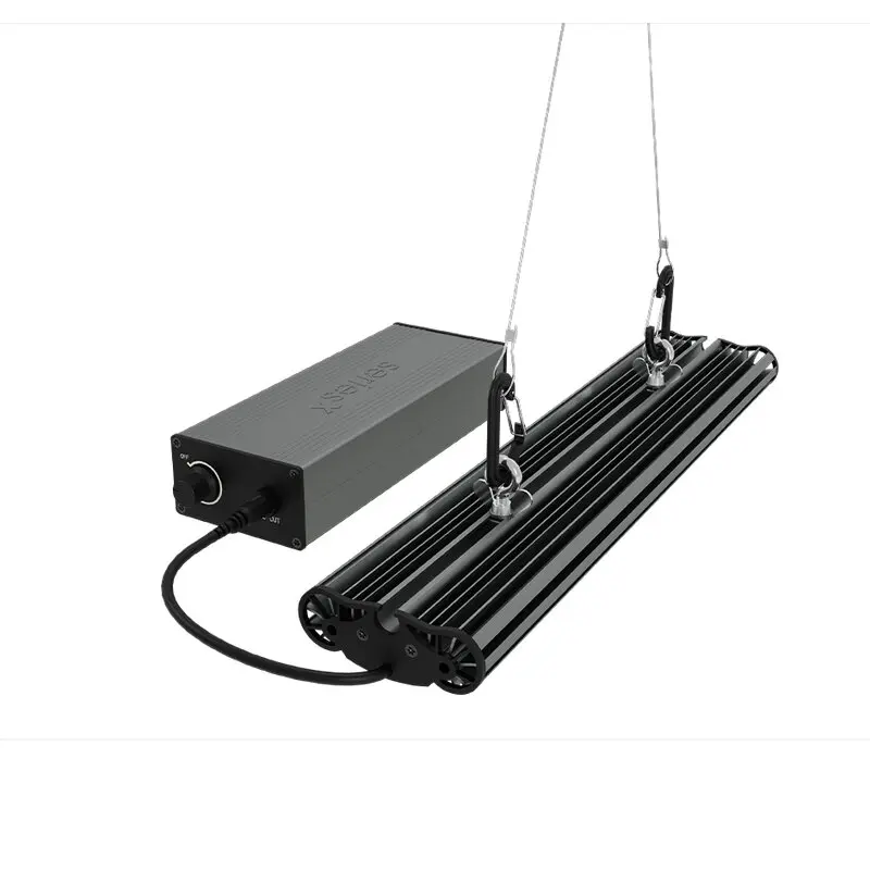 Greenception GCx 2solo PWR 80W